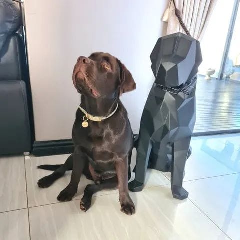 Real dog 6